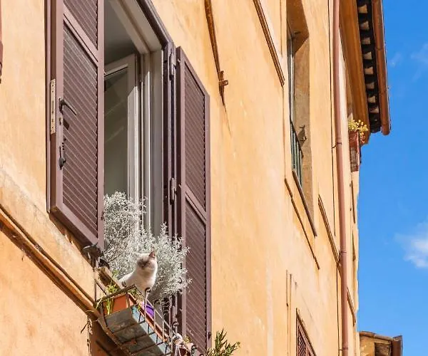 R.c. Cappellari Loft Campo De' Fiori Appartement Rome